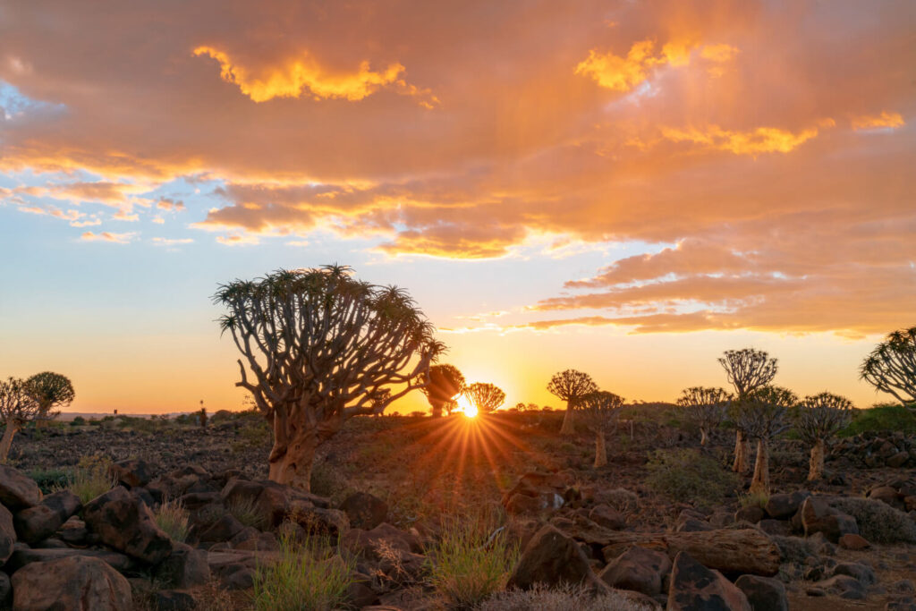 Wüste von Namibia wie in einem Reiseführer dargestellt