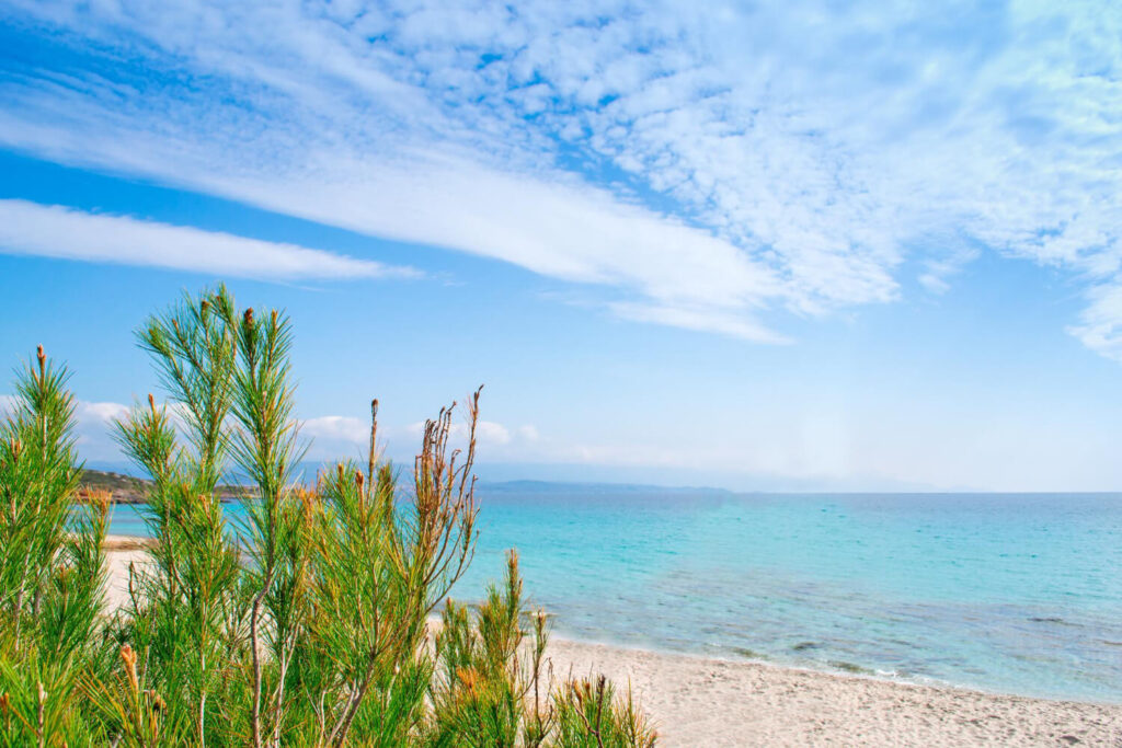 Pflanzen und sehr bekannter Strand der in jedem Sardinen Reiseführer empfohlen wird